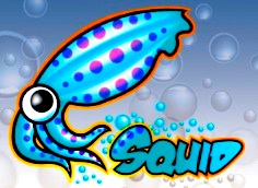 Install Squid Proxy on CentOS 8