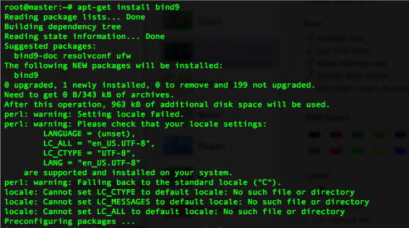 Install BIND9 Master and Slave DNS Server on Ubuntu