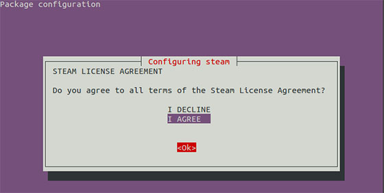 Install Steam on Ubuntu 18.04 LTS