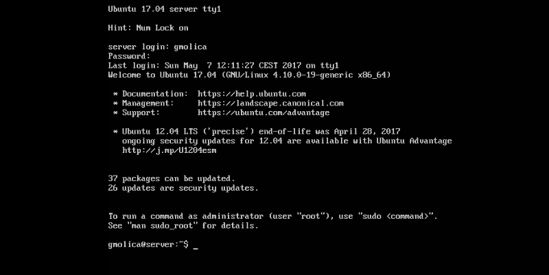install-ubuntu-17-04-server-28