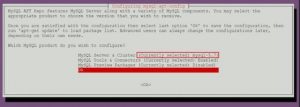 install mysql community server debian 10