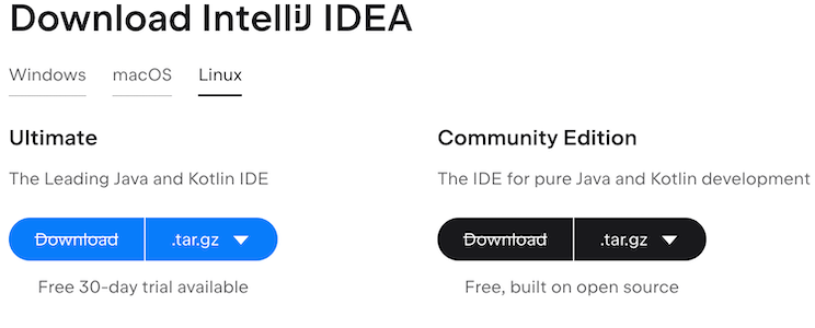 Install IntelliJ IDEA on Ubuntu 24.04