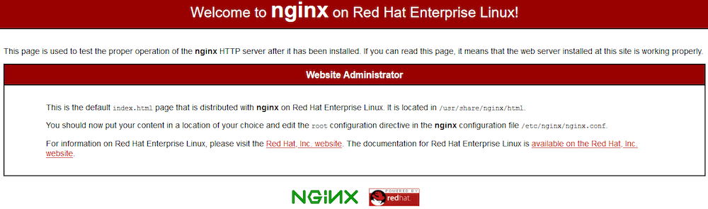 Install Nginx on AlmaLinux 8