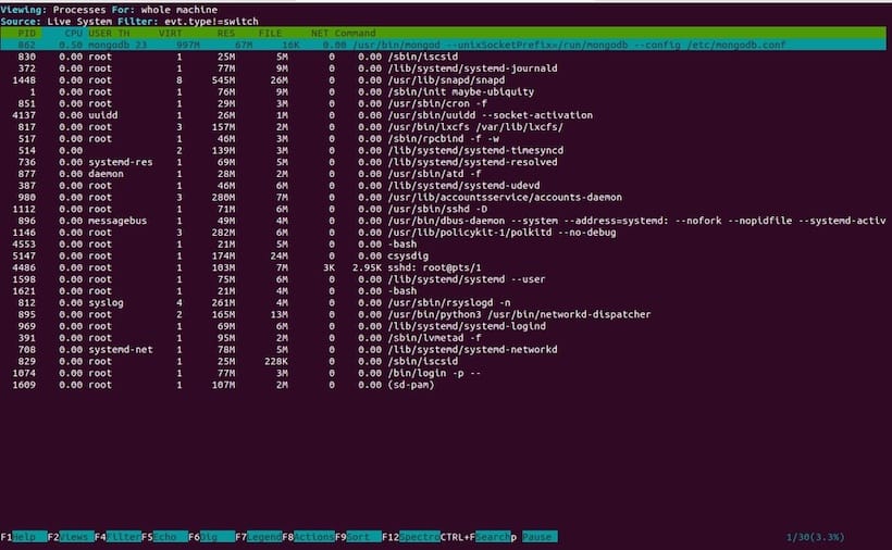 Install Sysdig on Debian 11 Bullseye