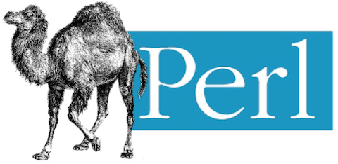 Install Perl Programming Language on Ubuntu 24.04