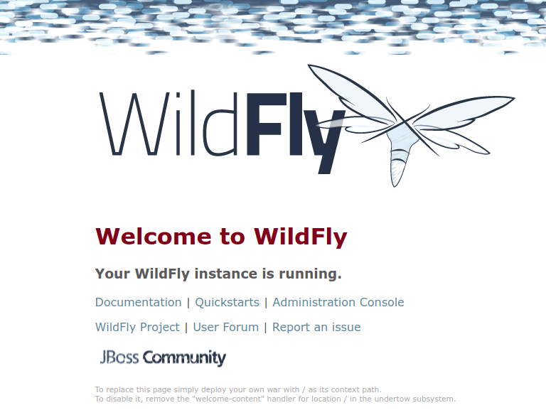 Install WildFly on Debian 11 Bullseye