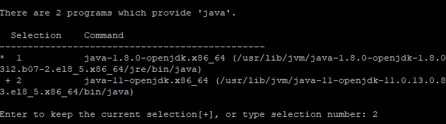 Install Java on Rocky Linux 8