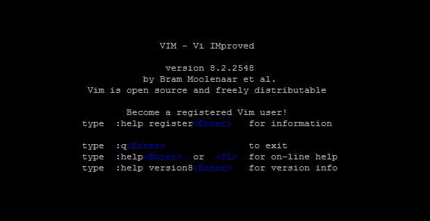 Install Vim Text Editor on Debian 10 Buster