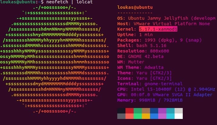 Install XanMod Kernel on Ubuntu 22.04 LTS Jammy Jellyfish