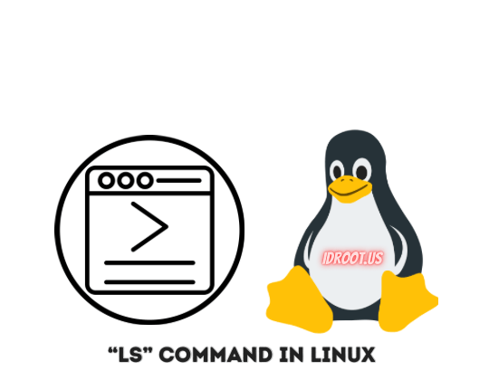 Ls Command in Linux