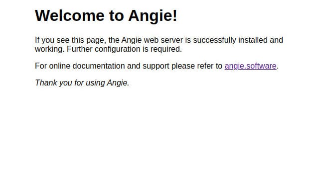 Install Angie Web Server on Ubuntu 22.04 LTS Jammy Jellyfish