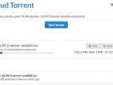 Cloud-Torrent Cloud-Torrent