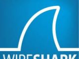 WireShark-logo WireShark-logo