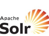 apache-solr-logo apache-solr-logo